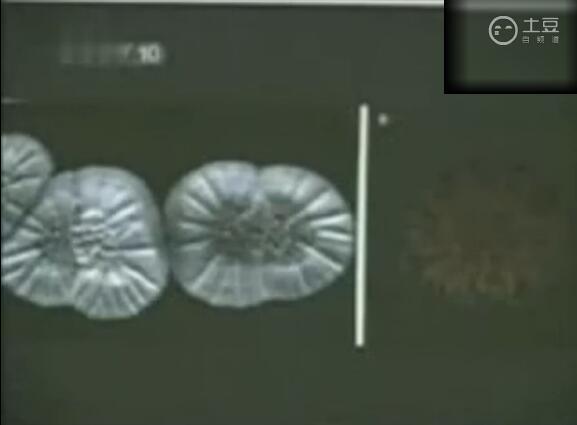 中央10套宣传臭氧科技之光